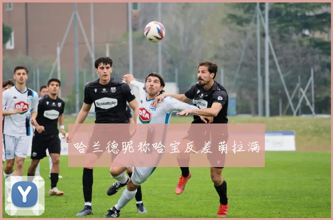 哈兰德昵称哈宝反差萌拉满
