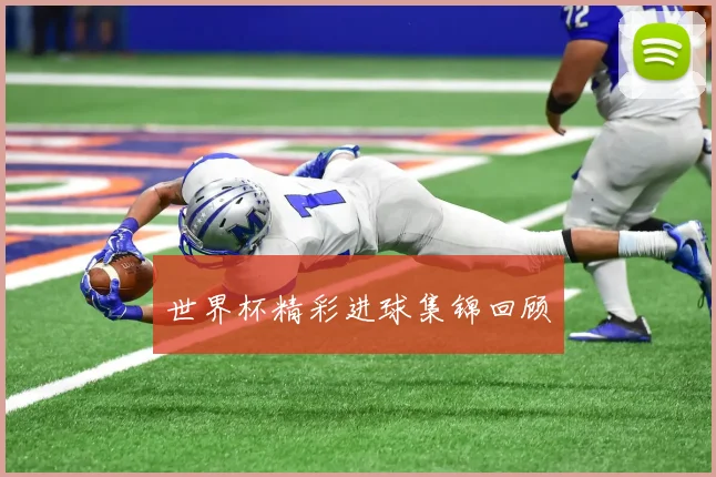 世界杯精彩进球集锦回顾