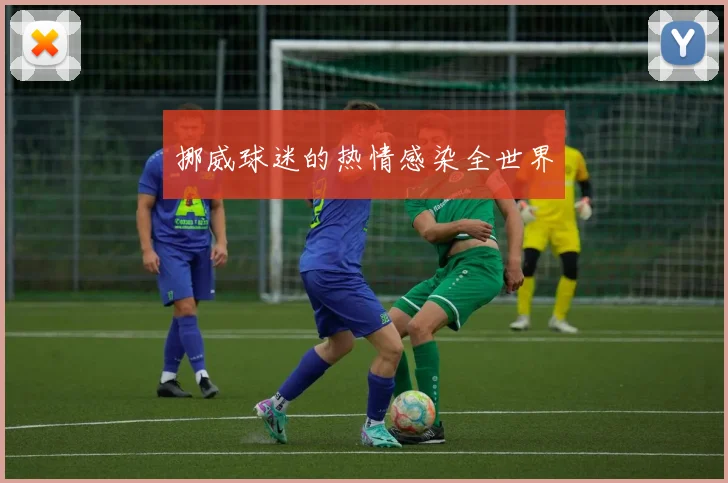 挪威球迷的热情感染全世界